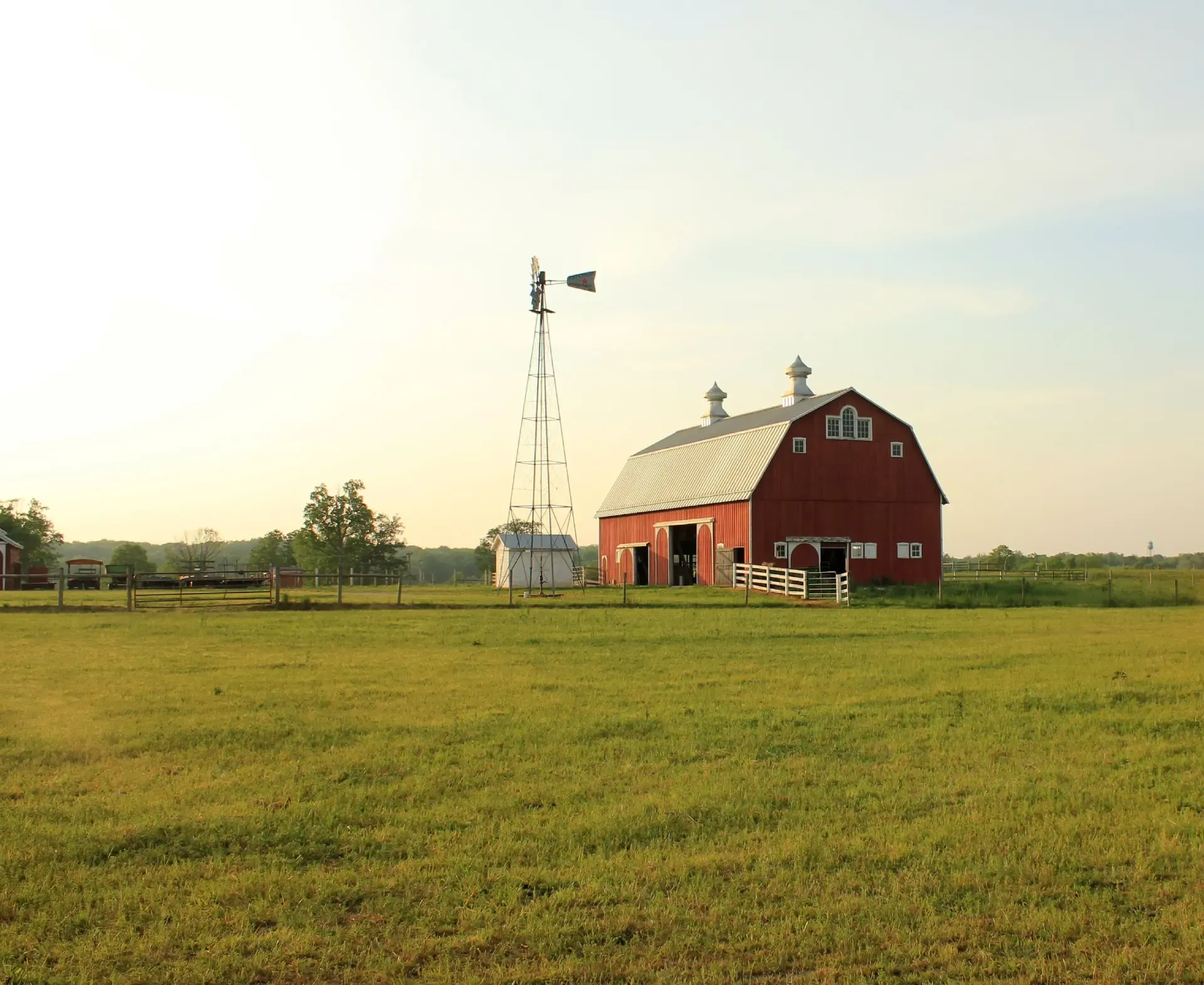 Blowin' in the ameripolitan winds